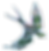 bird.png