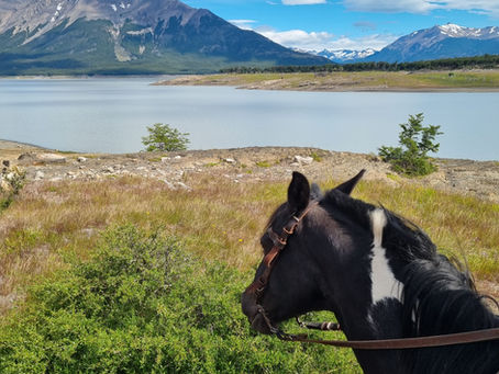 I Took Terrible Advice When I Launched My Books Business...Costing Me My Control.