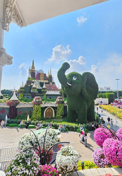 Miracle Garden Dubai