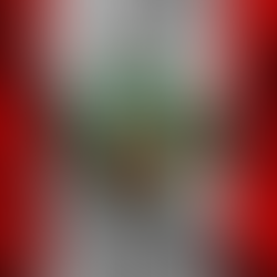 Saludo por los 204 años de independencia del Perú ¡Felices Fiestas Patrias!