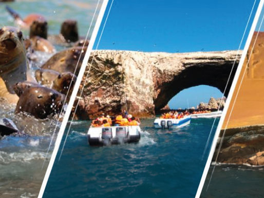 Cumbre Internacional Cooperativa: Planificar, dirigir y gestionar con valores