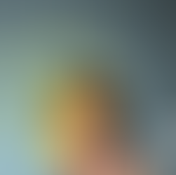 Seis actos para construir tu "mentalidad emprendedora"