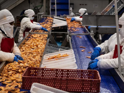 ADEX: Exportaciones peruanas retoman crecimiento en setiembre y se expandieron un 1 %