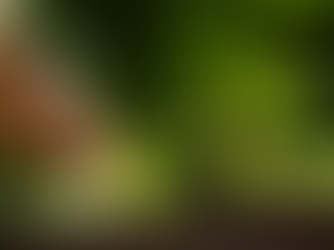 Cooperar para avanzar: cuando el crecimiento deja de ser individual