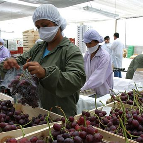 BCR: Exportaciones peruanas ascendieron a US$ 65 835 millones en 2022