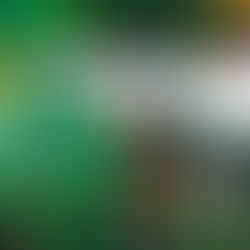 Estrategias de marketing para mercados de abastos