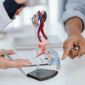 Científicos imprimen en 3D un pene funcional para tratar la disfunción eréctil