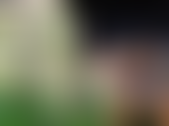 Zorro “Run Run” permanecerá en la Granja Porcón