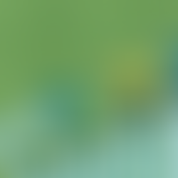 La Comisión Económica para América Latina y el Caribe (CEPAL) proyecta bajo crecimiento económico regional y menor consumo en 2026