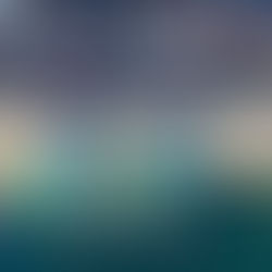 CIEN-ADEX: Se incrementa el número de empresas exportadoras peruanas en 4.6%