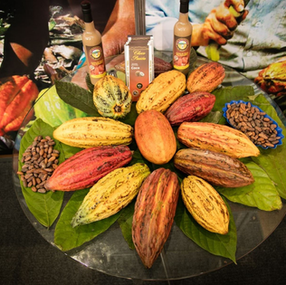 ADEX y Cámara de Comercio de la Región San Martín impulsan exportaciones