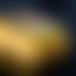 ADEX: Exportación del turrón sumó casi US$ 166 mill entre enero y agosto