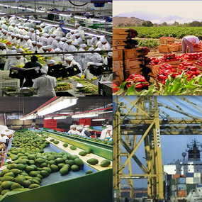 Incremento del Comercio Perú-Ecuador: Un Futuro Prometedor