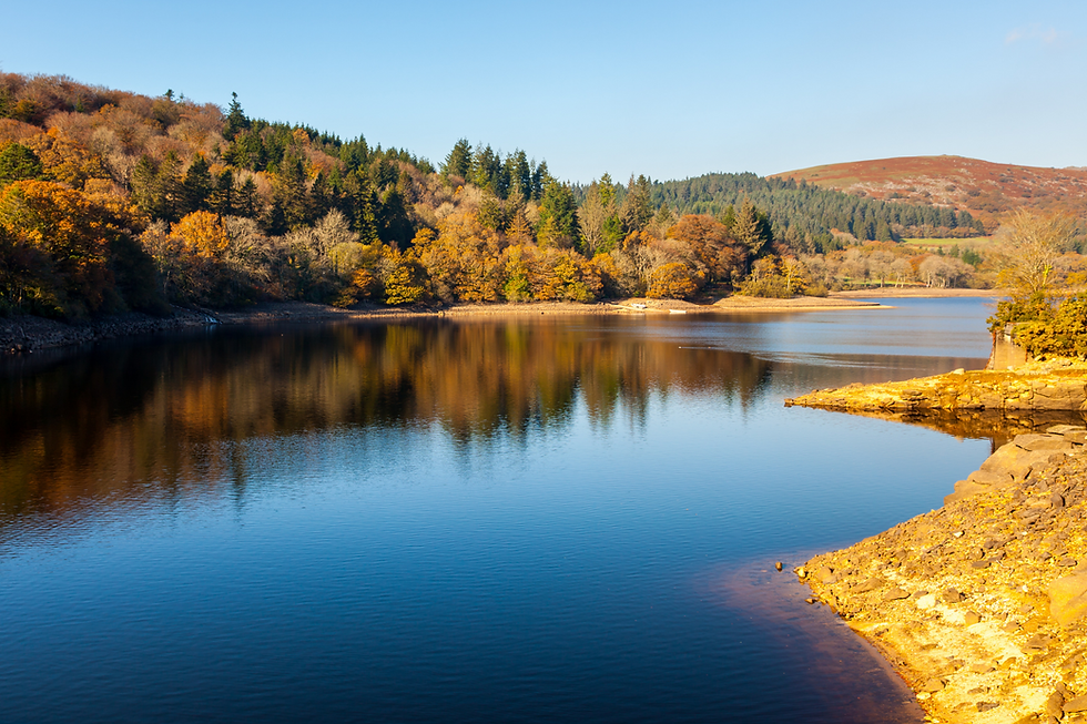 Dartmoor Lake