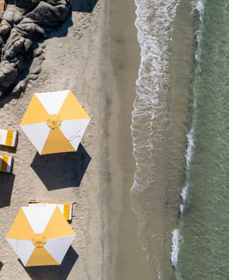 Capture d’écran 2024-02-23 à 17.38.27.png