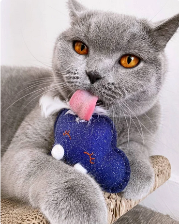 Miniature : Chat qui joue avec un jouet représentant Rosette le nuage