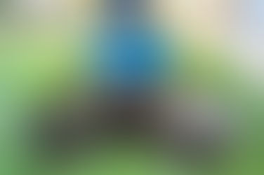 Leveling and Topdressing Your Lawn: What It Is and Why It Matters