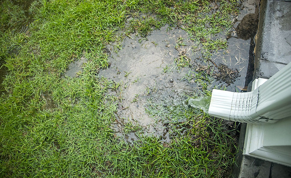 How to Spot and Fix Drainage Issues in Your Yard