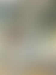 What I've Been Up To Lately - Summer 2025 