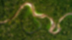 15 agosto id visual Fernanda (2).jpg