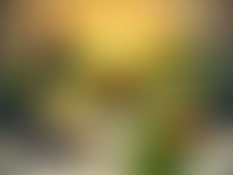 Wine and food in a vineyard