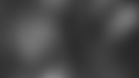 Wine Club Newsletter - August 2024