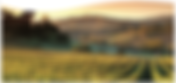 Special Thursday Tasting - Mormoraia Winery