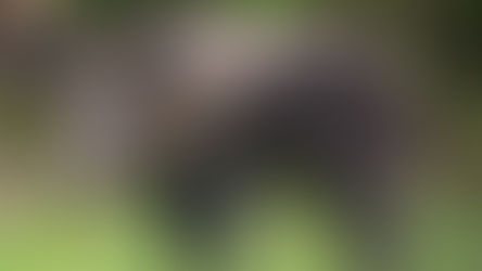 Wine Club Newsletter - September 2022