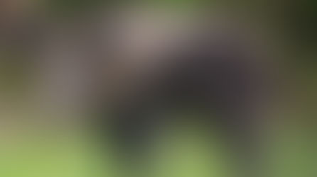 Wine Club Newsletter - September 2022