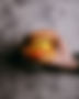 _DSF0773.jpg