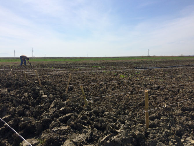 Day Three - Businesses and The OM Team