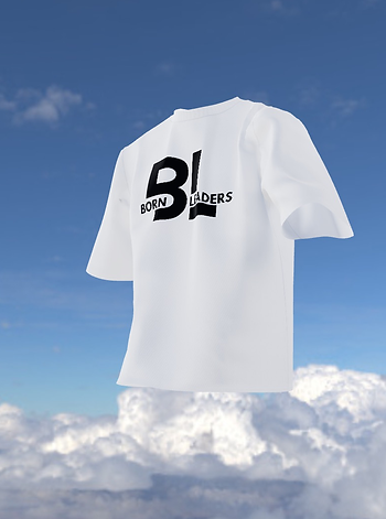 apparel_snapshot_1773961927640.png