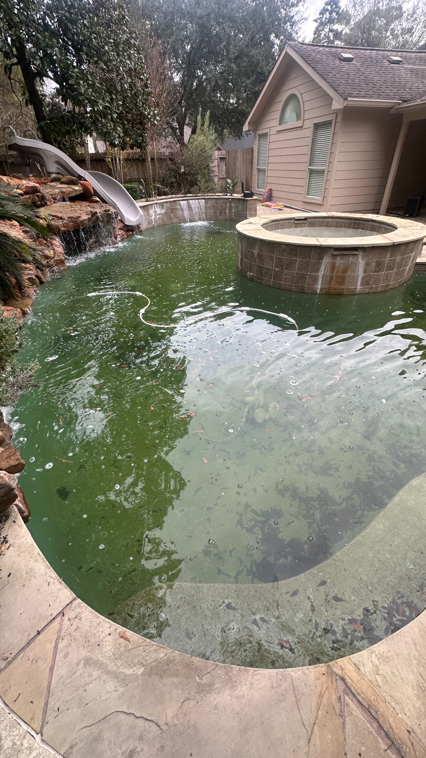 Contaminated pool