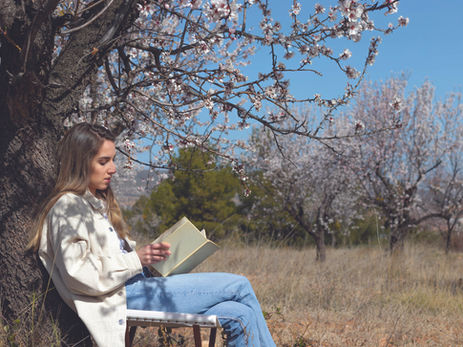 A woman sits under a blooming tree reading a book in a grassy field. Clear blue sky, calm and serene mood.