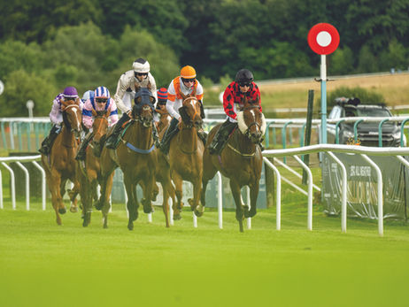Jockeys in colourful outfits race horses on a green track, surrounded by trees. A red and white post is visible in the background.