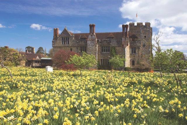 Stone castle amidst a field of blooming yellow flowers under a blue sky with scattered clouds. The scene is peaceful and picturesque.