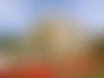 Stone castle with ivy, flag, and benches in a vibrant garden of red and yellow tulips under a blue sky. Lush greenery surrounds the scene.