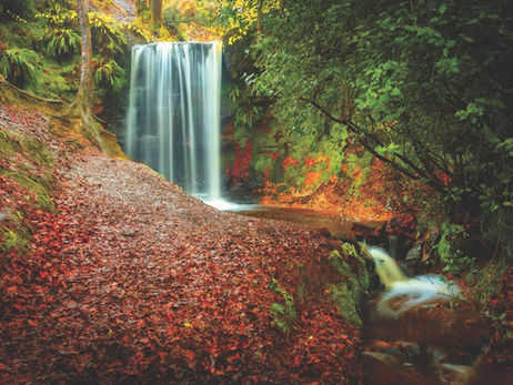 Small waterfall in lush forest with autumn leaves and stream, creating a calm, scenic woodland mood.