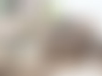 Bright living room with beige tufted sofas, green throw pillow, glass coffee table with vase, plants, and sheer curtains. Peaceful ambiance.