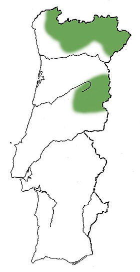 macieira-bravamapa.jpg