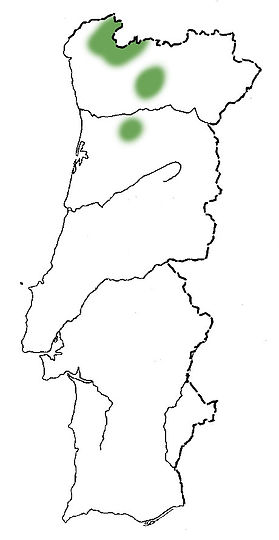 faiamapa.jpg