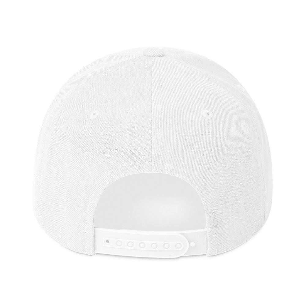 Thumbnail: Discipline over hype Snapback Hat