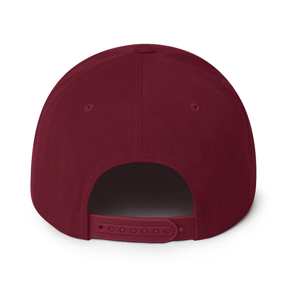 Thumbnail: Discipline over hype Snapback Hat