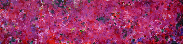 _DSC4636_edited_edited.jpg