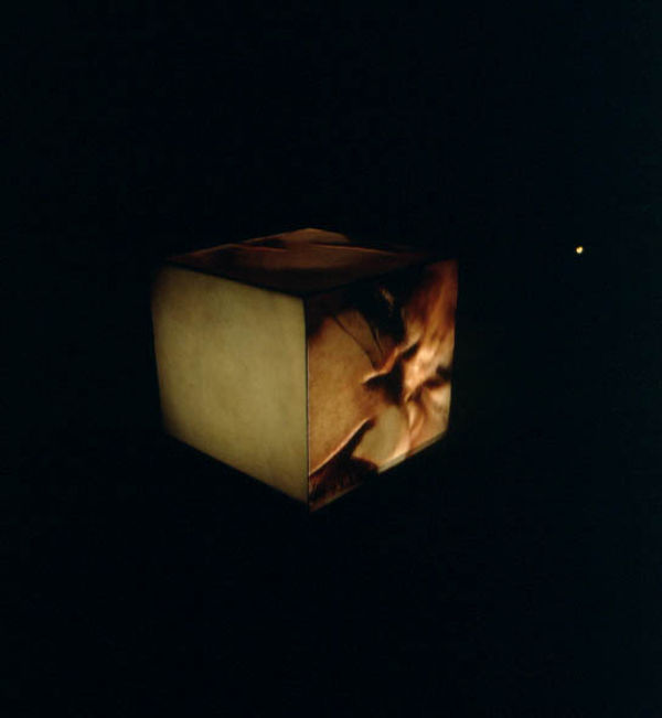 1999 someone in the box-1999-projections-c.jpg