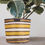Thumbnail: Pot Planhigion Gwehyddu Eco / Eco Woven Plant Pot