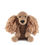 Thumbnail: Saxon The Cocker Spaniel