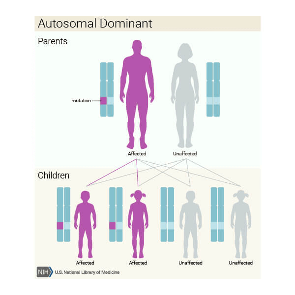 Patogênese da ataxia espinocerebelar tipo 7 (SCA7)