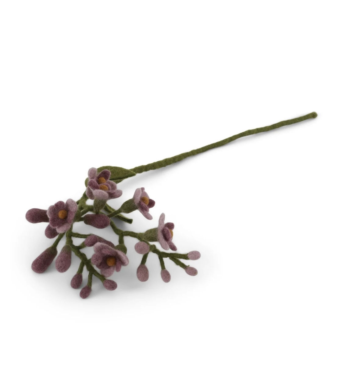 Wisteria Light Purple