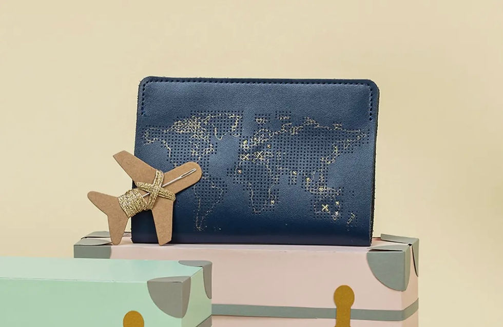 Stitch Passport Cover